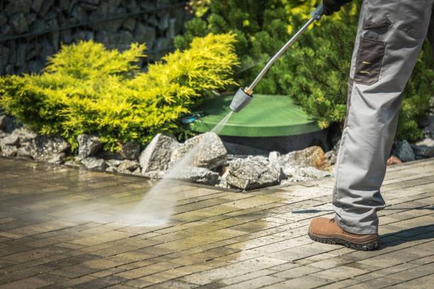 Best Roof Washing  in Kenai, AK