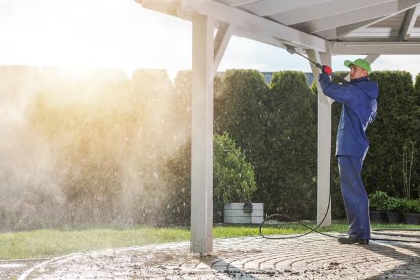 Best Gutter Cleaning  in Kenai, AK
