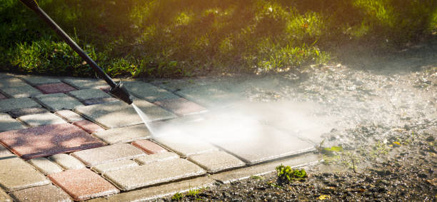 Animal Enclosure Cleaning in Kenai, AK