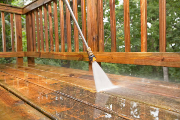 Best Driveway Pressure Washing  in Kenai, AK