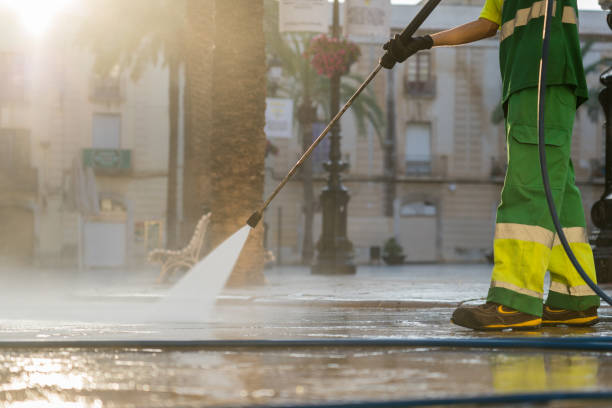 Best Sidewalk and Walkway Cleaning  in Kenai, AK